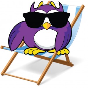 Owl Deck Chair