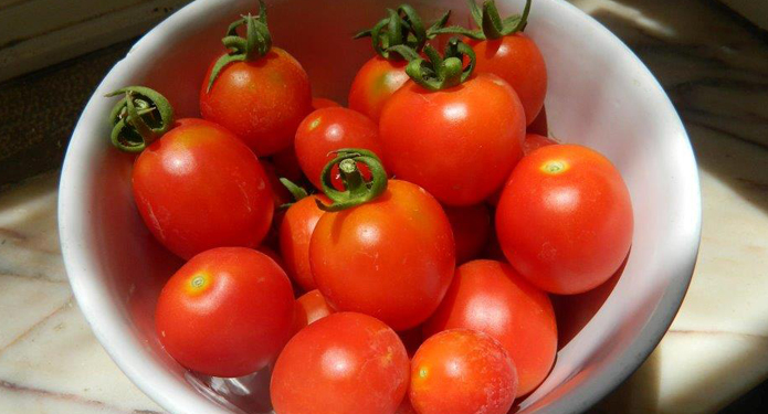 https://centrealgarve.org/wp-content/uploads/2014/10/TOmatoes.jpg